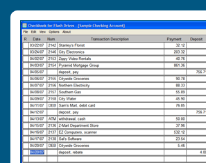 Checkbook for Flash Drives Screenshot 1