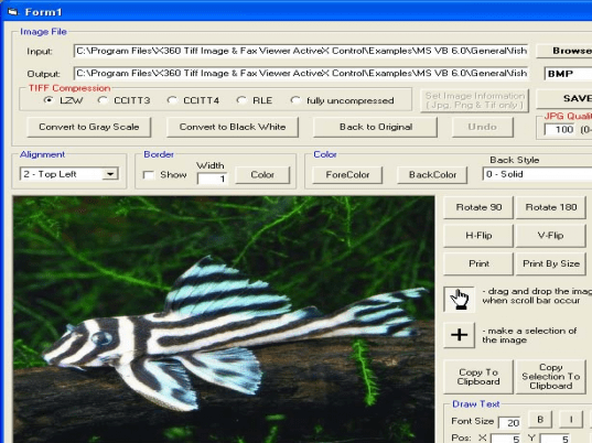 X360 Tiff Image & Fax Viewer ActiveX OCX Screenshot 1