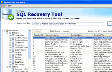 Restore Microsoft Database File Screenshot 1