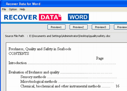 MS Word Recovery Program Screenshot 1