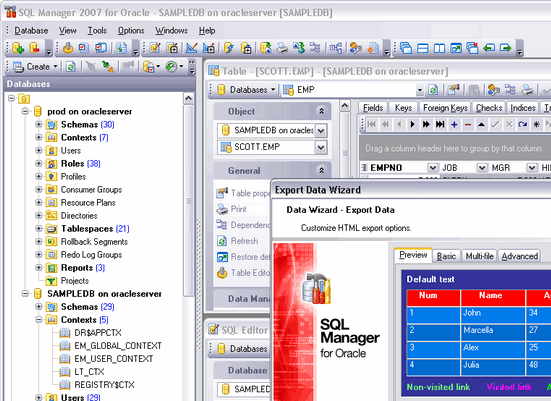 EMS SQL Manager 2007 for Oracle Screenshot 1