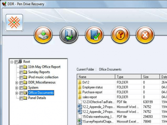 Pen Data Recovery DDR Screenshot 1
