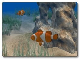 Clown Fish Screen Saver Screenshot 1