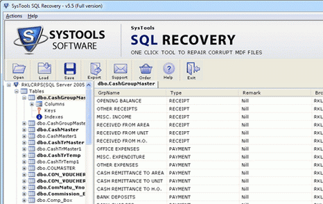 SQL Server 2008 Recovery Screenshot 1