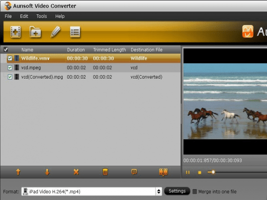 Aunsoft Video Converter Screenshot 1