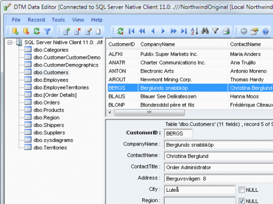 DTM Data Editor Screenshot 1