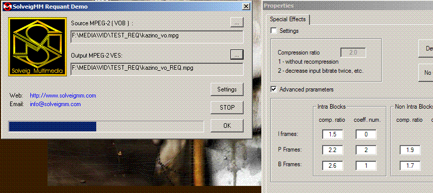 SolveigMM MPEG2 Requantizer Component 1.1 demo Screenshot 1