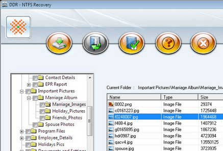 Deleted NTFS Partition Data Recovery Screenshot 1
