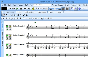 Notation Musician Screenshot 1