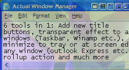 Actual Windows Manager Screenshot 1
