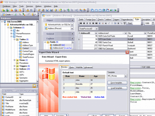 EMS MS SQL Manager Screenshot 1