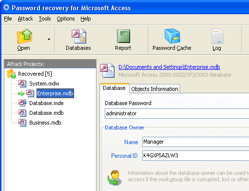 Access Password Recovery Pro Screenshot 1