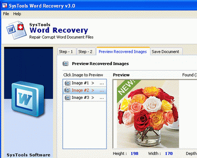 MS Word Recovery Screenshot 1