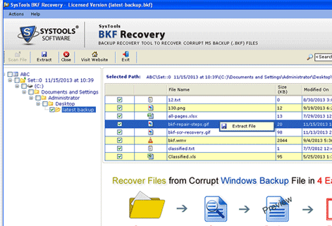 Restore Files from Backup Exec Screenshot 1